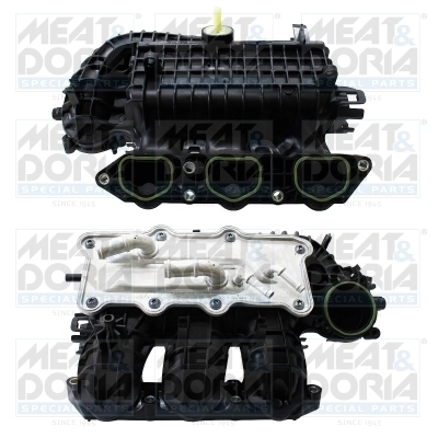 Intake Manifold Module